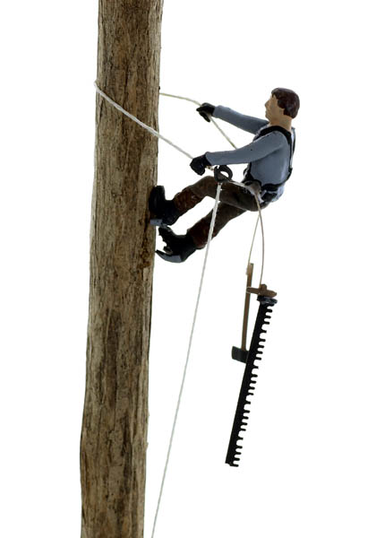 High Climber a/k/a TreeTopper