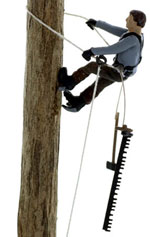 High Climber a/k/a TreeTopper