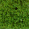 DARK GREEN FOLIAGE FIBER
