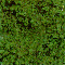 CONIFER GREEN FOLIAGE FIBER