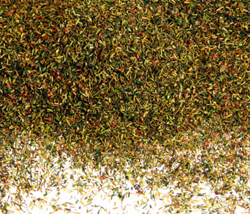LEAF-LITTER 'CELLULEAF'