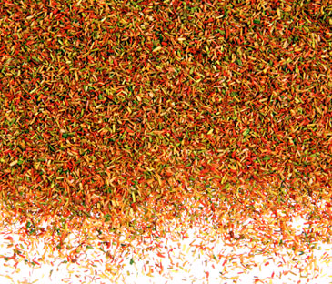 AUTUMN GLORY 'CELLULEAF'