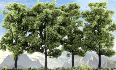 Tall Trees