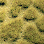 SAVANNAH TUFTGRASS 17