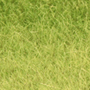 MEADOW GREEN TURFGRASS17