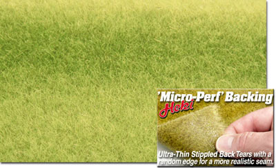 MEADOW GREEN TURFGRASS17