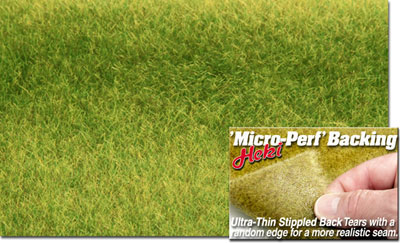 PASTURE TURFGRASS 17