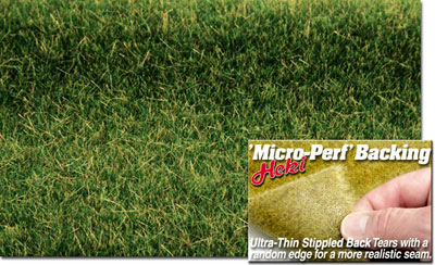 SUMMER GREEN TURFGRASS 17