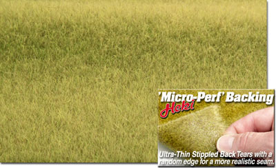SAVANNAH TURFGRASS 17