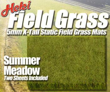 SUMMER GREEN FIELD MEADOW
