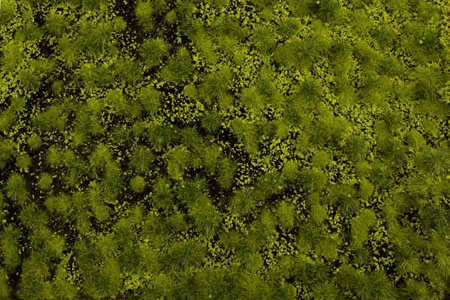 LIGHT GREEN TUFTED MAT