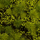 ALPINE MEADOW STRUCTUREGRASS