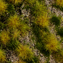 WESTERN RANGE STRUCTUREGRASS