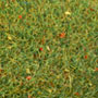 FLOWERING MEADOW GRASS MAT 29