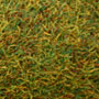 LATE SUMMER JUMBO GRASS MAT 39