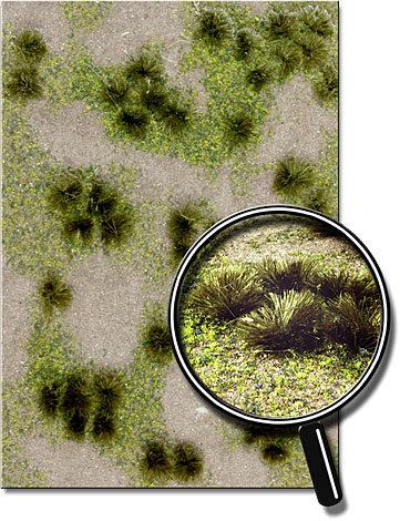 GREEN GRASSLAND 5