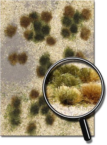 WILD GRASSLAND 5
