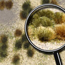WILD GRASSLAND 5