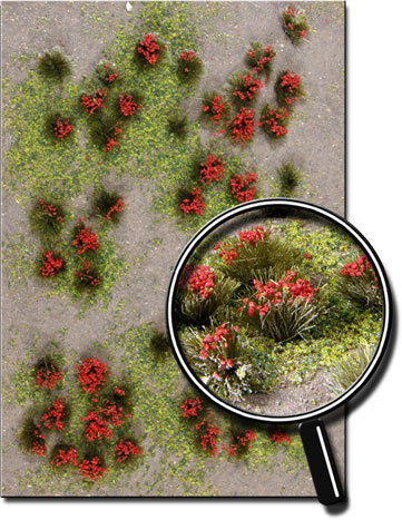 RED FLOWERING MEADOW  5