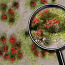 RED FLOWERING MEADOW  5