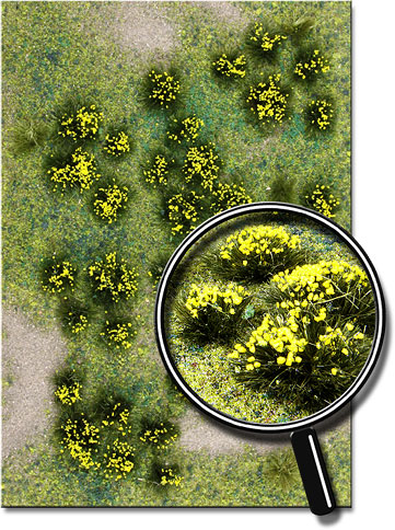 YELLOW FLOWERING MEADOW  5