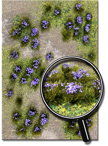 PURPLE FLOWERING MEADOW  5