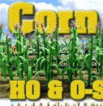 Sale Corn Fields