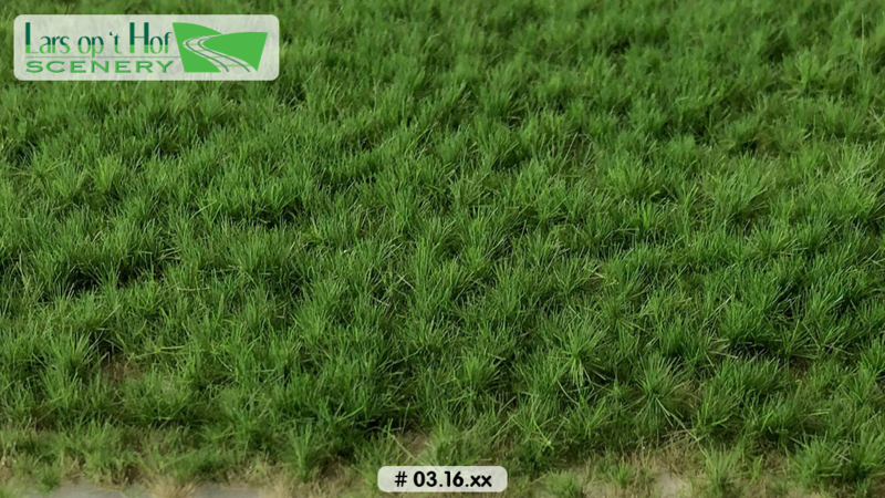 GRASS TUFTS PASTURE SPRING - LONG