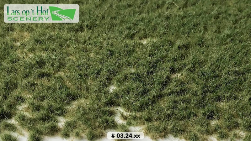 GRASS TUFTS PASTURE SUMMER - SHORT
