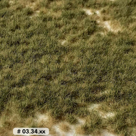 SHORT GRASS TUFTS PASTURE SPRING