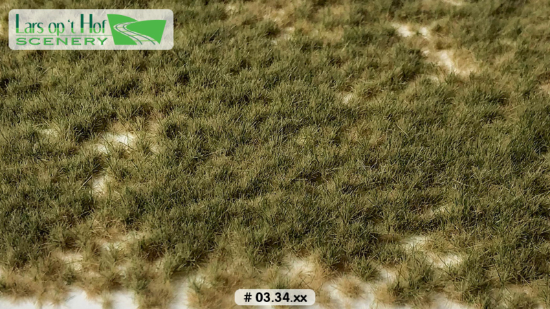 SHORT GRASS TUFTS PASTURE SPRING