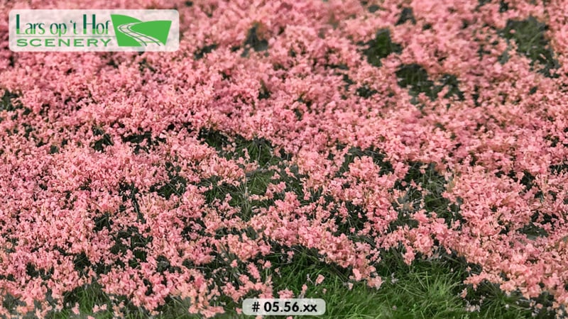 Lars op't Hof light pink flowering tufts,