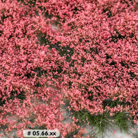 PINK FLOWERING TUFTS