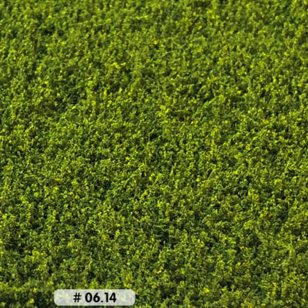 LOW WEEDS LIGHT GREEN