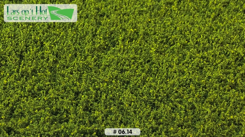 LOW WEEDS LIGHT GREEN