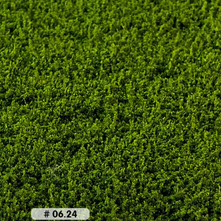 LOW THICKET WEEDS MEDIUM GREEN