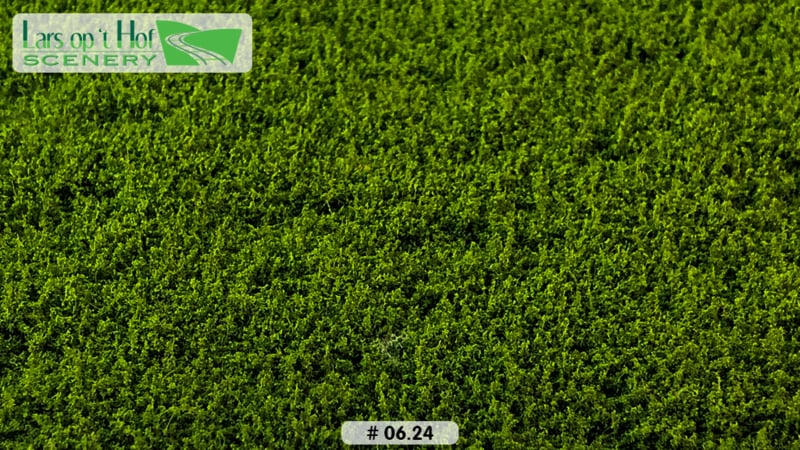 LOW WEEDS MEDIUM GREEN