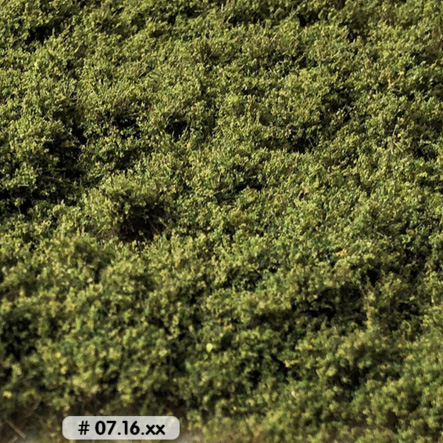 LOW BUSHES LIGHT GREEN