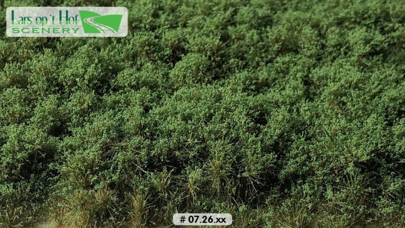 LOW BUSHES MEDIUM GREEN