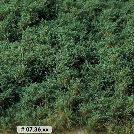 LOW DARK GREEN BUSHES