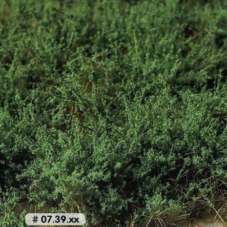 HIGH BUSHES DARK GREEN