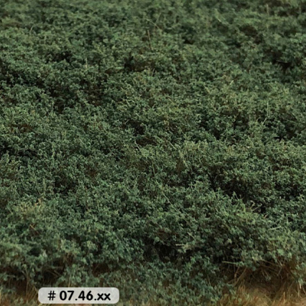 BUSHES HAZY GREEN - LOW