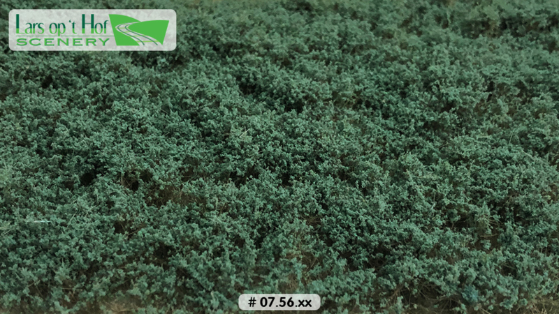 LOW BUSHES SAGE GREEN