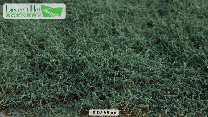 BUSHES SAGE GREEN - HIGH