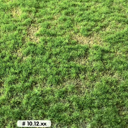 SPRING SHORT PASTURE MAT (Small)  - 7-1/4