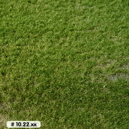 SUMMER SHORT PASTURE MAT - 7-1/4