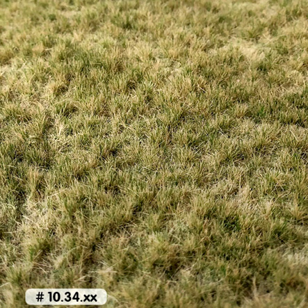 AUTUMN LONG PASTURE MAT (SMALL) - 7-1/4