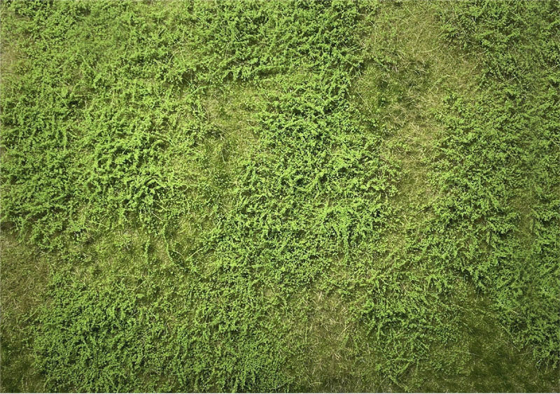 SUMMER WILD VERGE MAT (SMALL) - 7-1/4