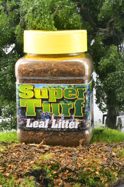 LEAF LITTER FOREST COVER