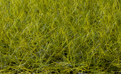 NEW! 12MM MEADOW GREEN STATIC GRASS 40g/1.4 oz.